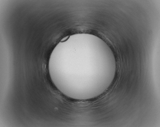 X0000111520615200907141238
