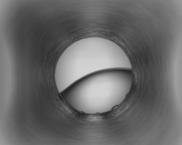 X0000111520617200907141238