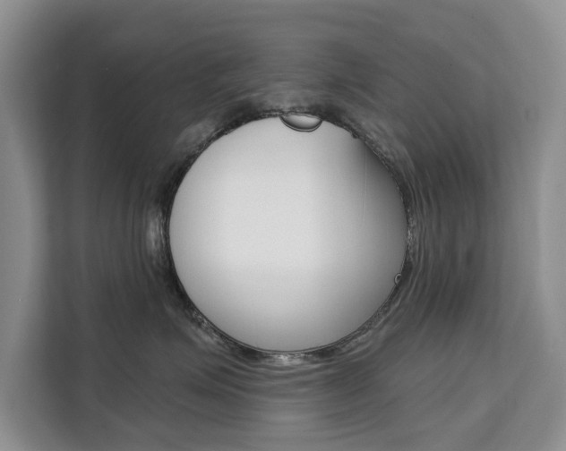 X0000111520623200907141237