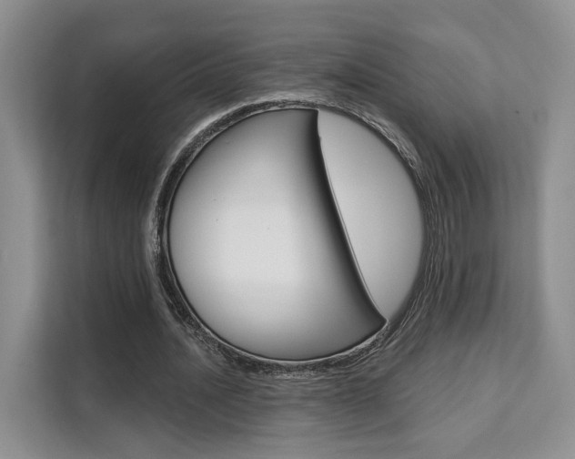 X0000111520628200907141237