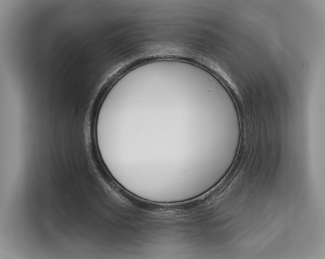 X0000111520629200907141237