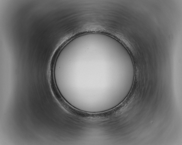 X0000111520630200907141237