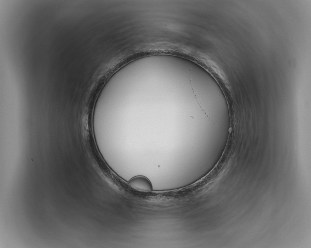 X0000111520633200907141237