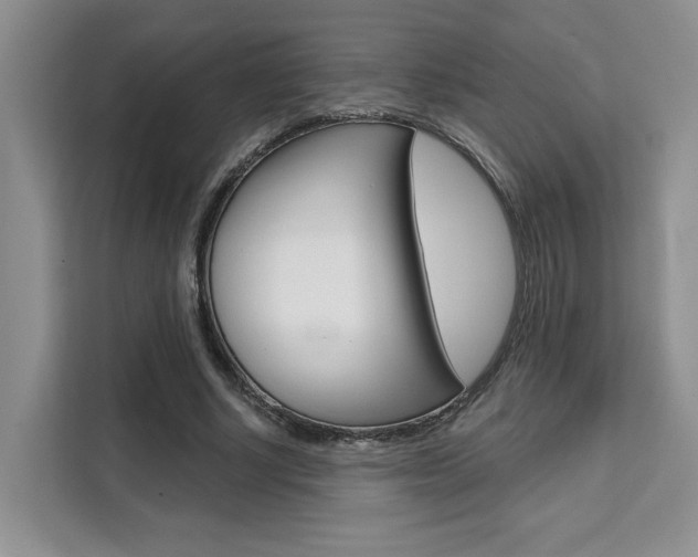 X0000111520634200907141237
