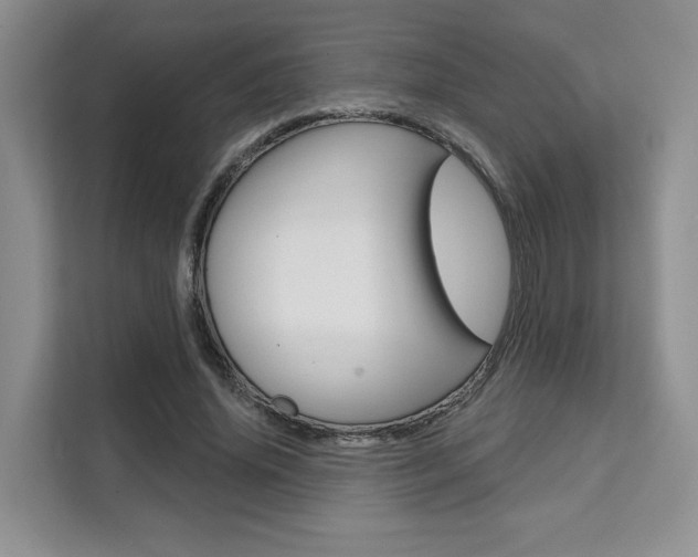 X0000111520636200907141237