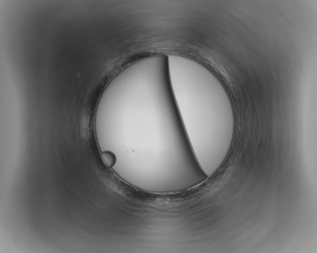 X0000111520641200907141237