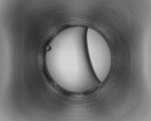 X0000111520642200907141237