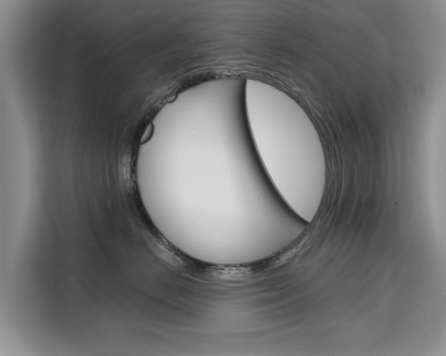 X0000111520670200907141237