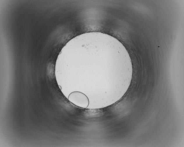 X0000111520672200907141237