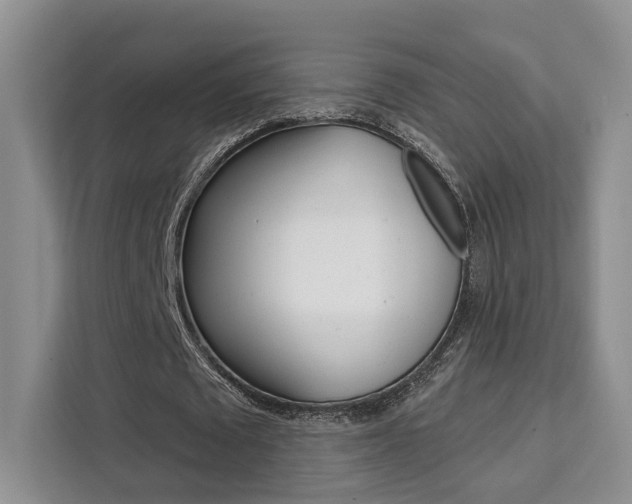 X0000111520673200907141237