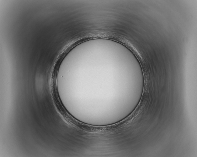 X0000111520674200907141237