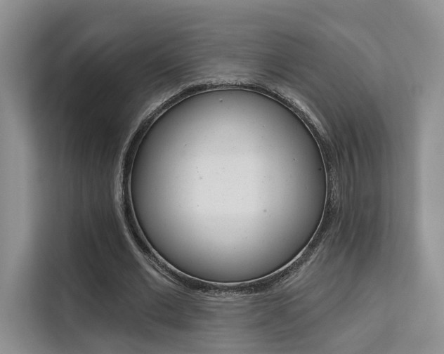 X0000111520677200907141237