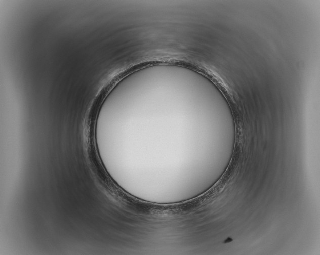 X0000111520679200907141237