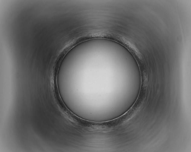 X0000111520681200907141237