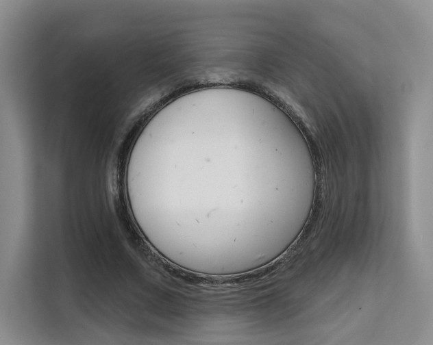 X0000111520683200907141237