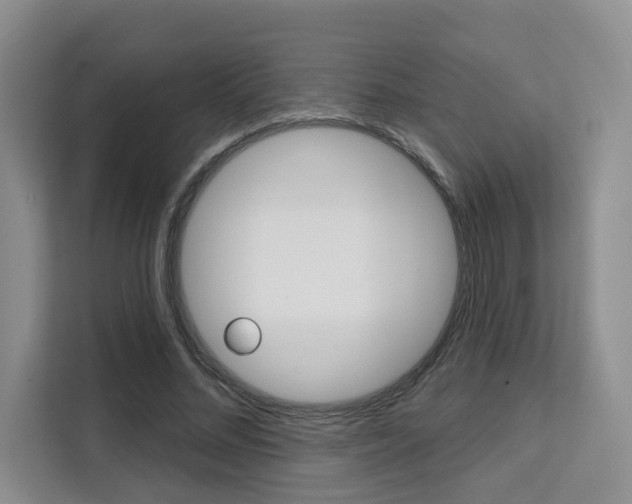 X0000111520684200907141237