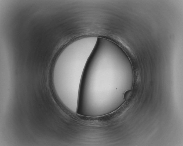 X0000111520685200907141237