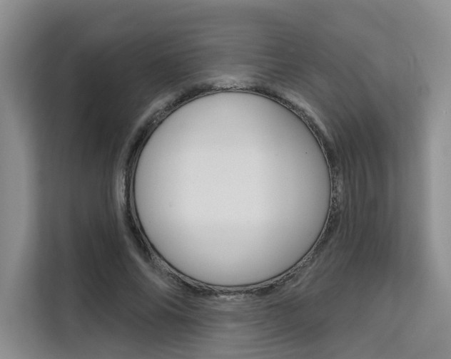 X0000111520686200907141237