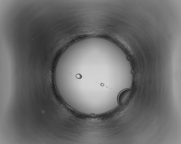 X0000111520689200907141237