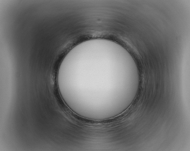 X0000111520691200907141237