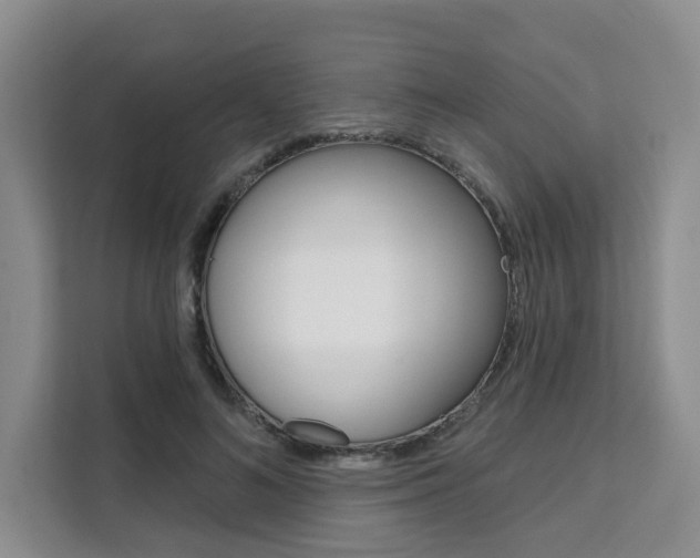 X0000111520692200907141237