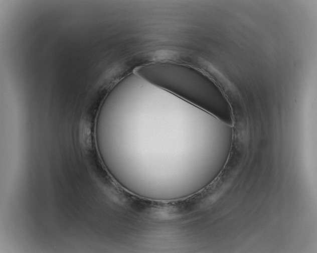 X0000111520696200907141237