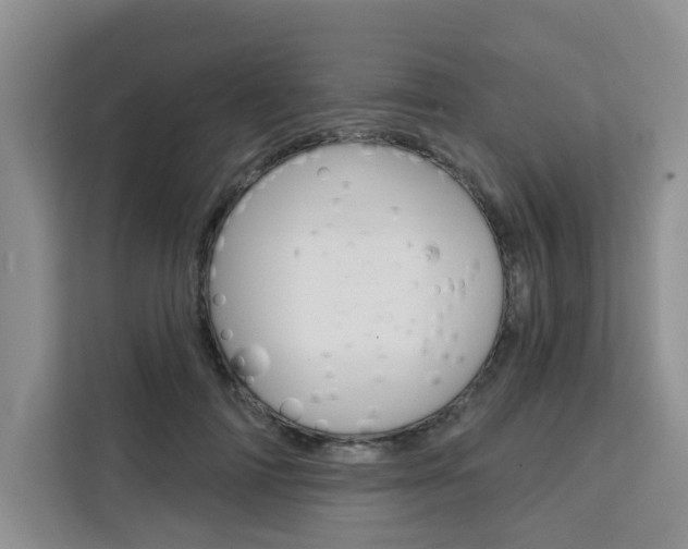 X0000111520698200907141236
