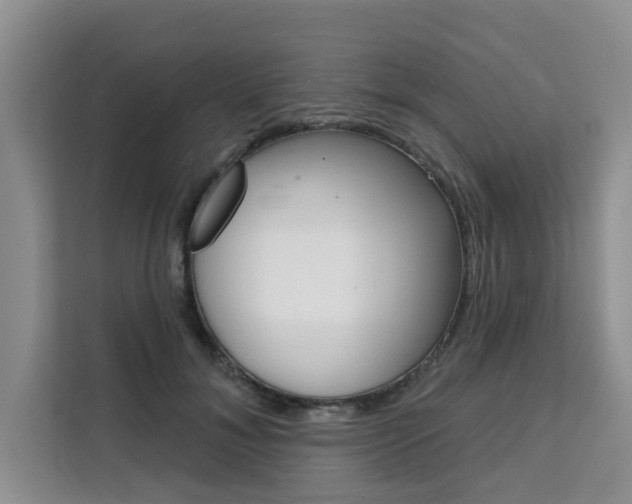 X0000111520700200907141236