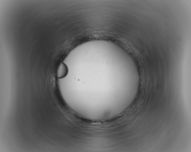 X0000111520703200907141236