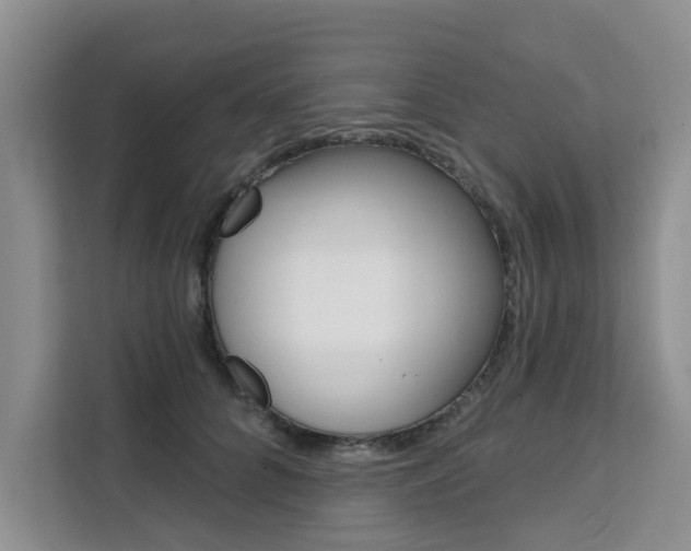 X0000111520704200907141236