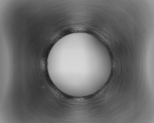 X0000111520715200907141236