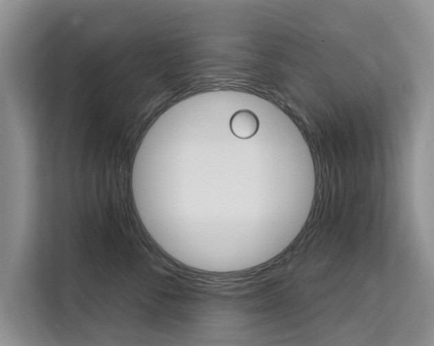 X0000111520716200907141236