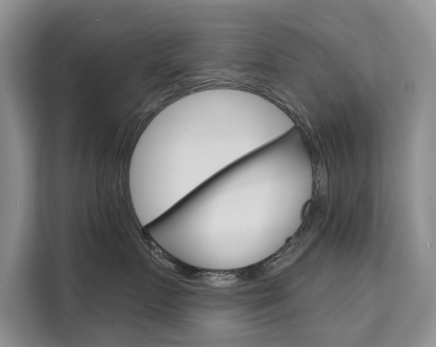 X0000111520719200907141236