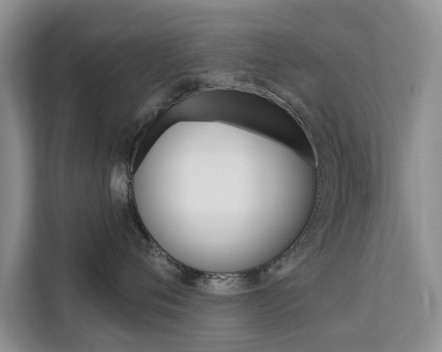 X0000111520720200907141236