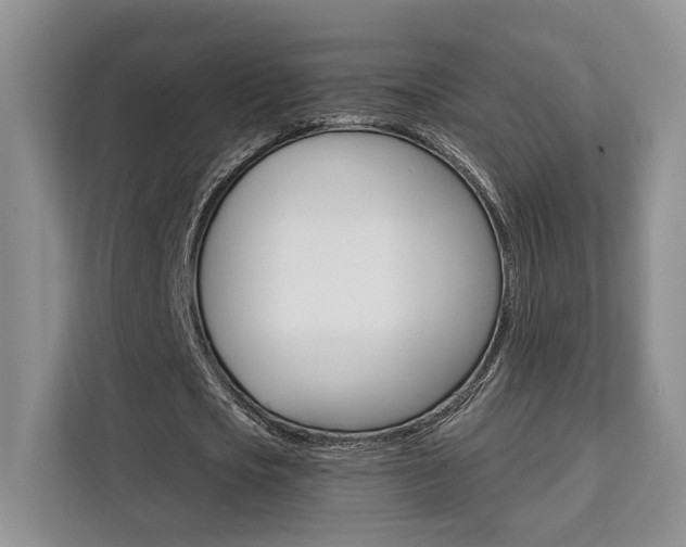 X0000111520721200907141236