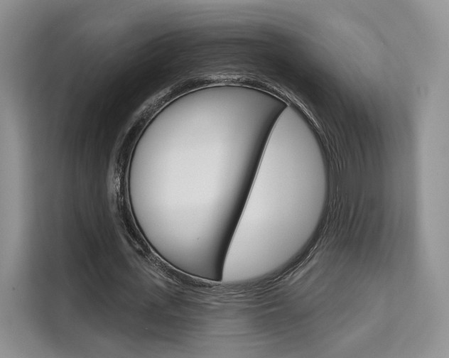 X0000111520723200907141236