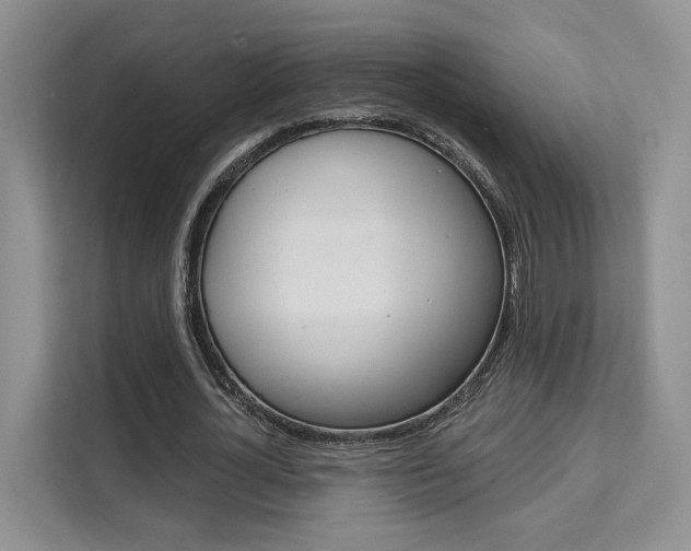 X0000111520724200907141236