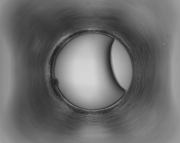 X0000111520727200907141236