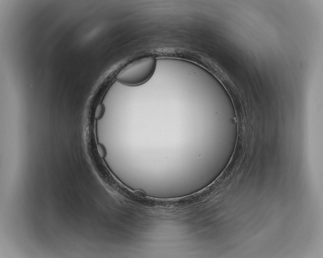 X0000111520728200907141236