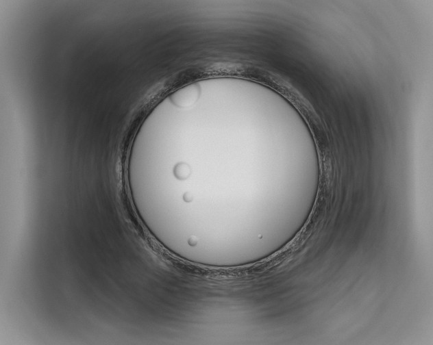 X0000111520729200907141236