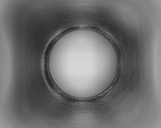 X0000111520730200907141236