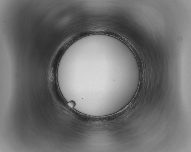 X0000111520731200907141236
