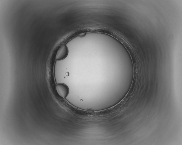 X0000111520732200907141236