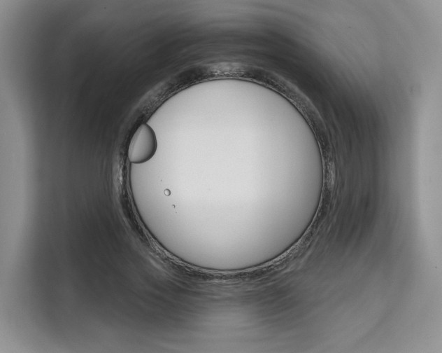 X0000111520733200907141236