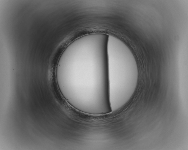 X0000111520735200907141236