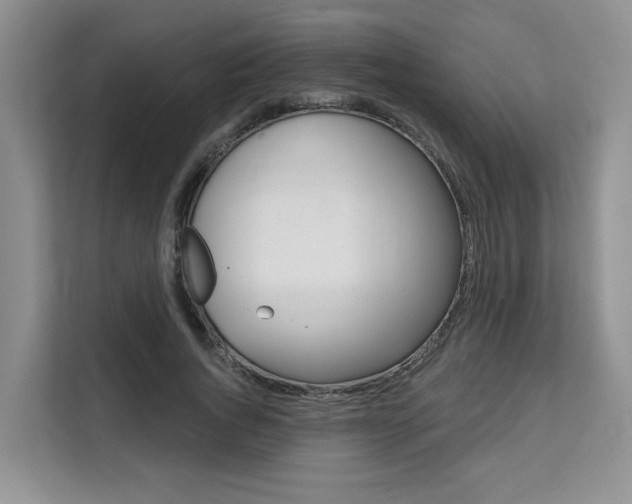 X0000111520736200907141236