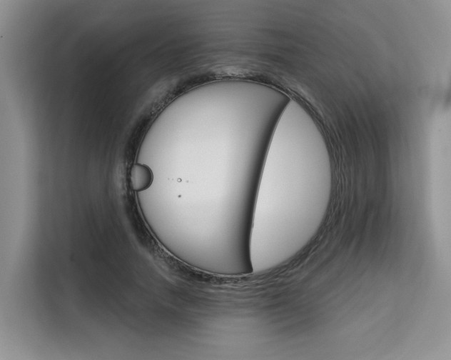 X0000111520738200907141236