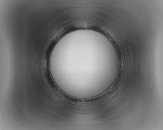 X0000111520739200907141236