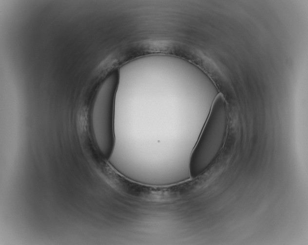 X0000111520744200907141236