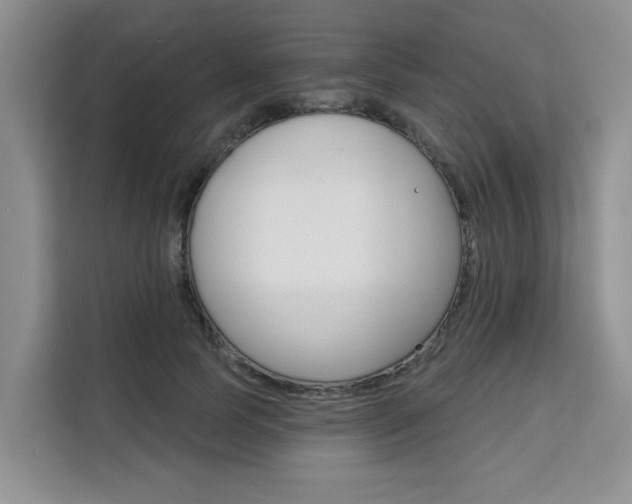 X0000111520745200907141236